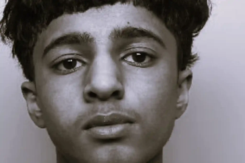 Portrait of schoolboy Harvey Willgoose whose murder sparked calls for better knife checks in UK schools