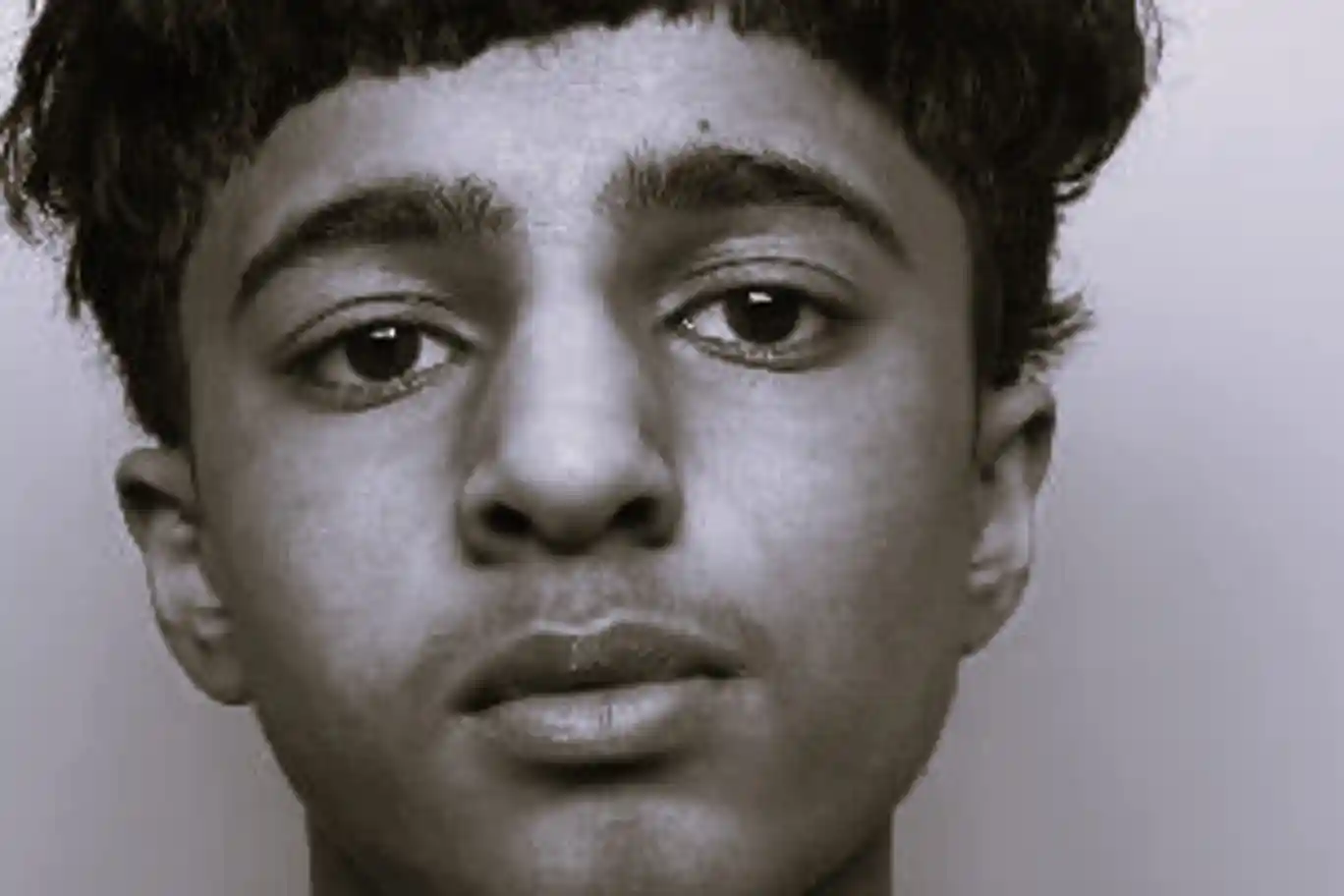 Portrait of schoolboy Harvey Willgoose whose murder sparked calls for better knife checks in UK schools