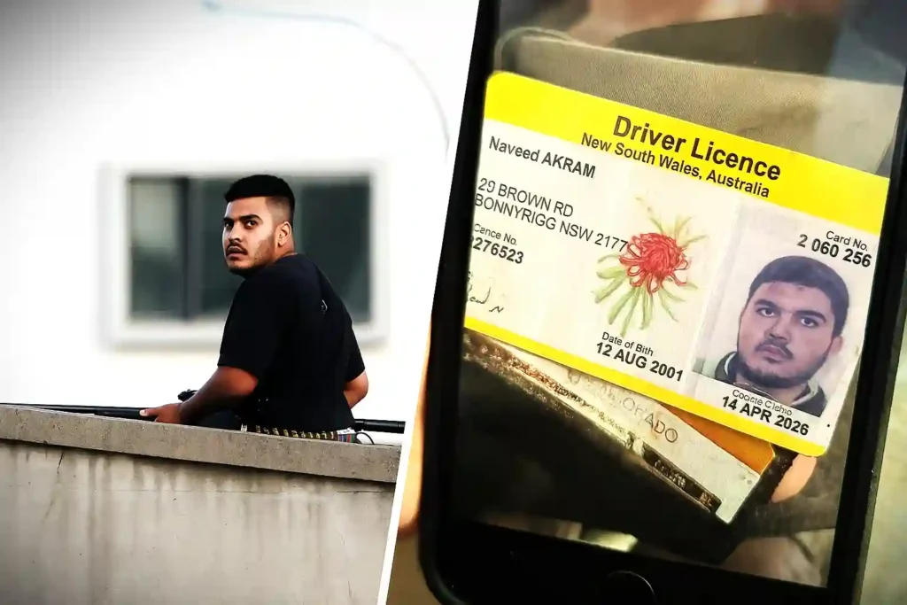 Split image showing an armed man near Bondi Beach and a New South Wales driver’s licence displayed on a phone, linked to the Bondi Beach attack scare.