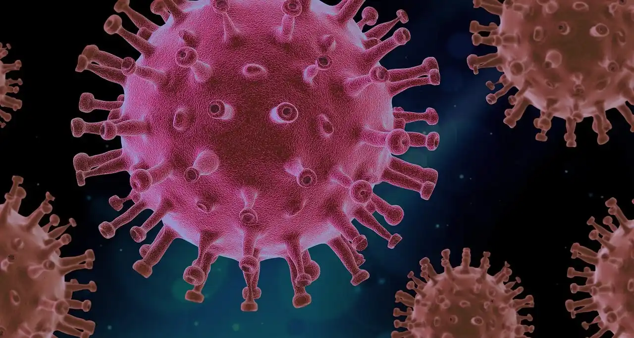 Illustration of measles virus particles representing the North London measles outbreak in 2026