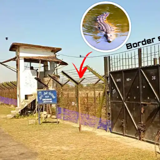 India crocodile border plan concept showing fenced India–Bangladesh border with watchtower and crocodile deterrent illustration